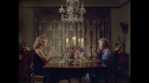 Calamity Jane & Delphine Seyrig: A Story's poster