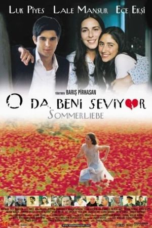 Summer Love's poster