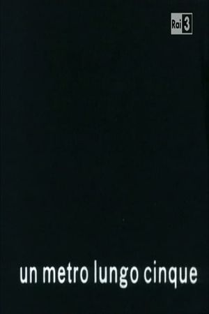 Un metro lungo cinque's poster