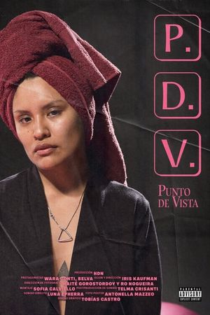 PDV (Punto de vista)'s poster