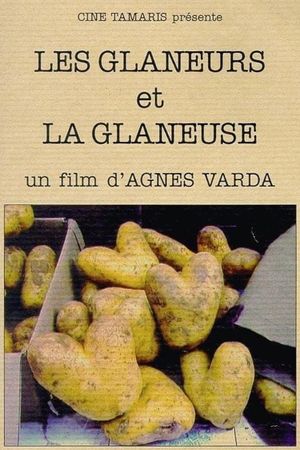 The Gleaners & I's poster