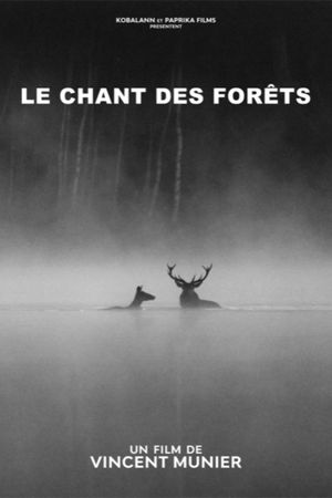Le chant des forêts's poster