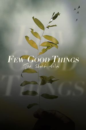 Few Good Things's poster