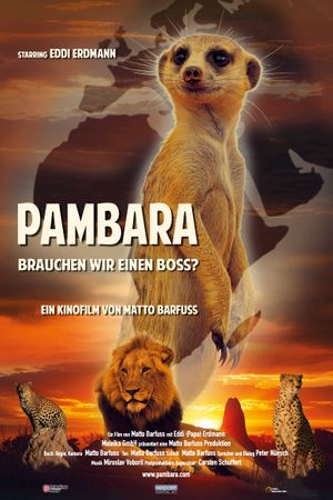 Pambara - Brauchen wir einen Boss?'s poster