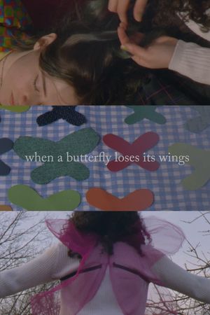 When A Butterfly Loses Its Wings's poster image