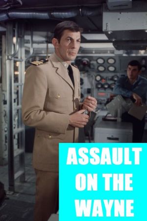 Assault on the Wayne's poster