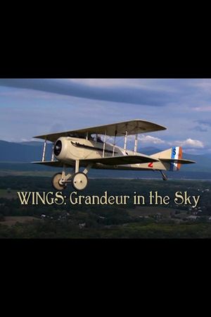 Wings: Grandeur in the Sky's poster