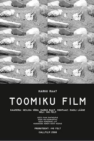 Toomik's Movie's poster