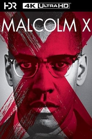 Malcolm X's poster