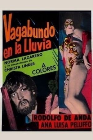 Vagabundo en la lluvia's poster