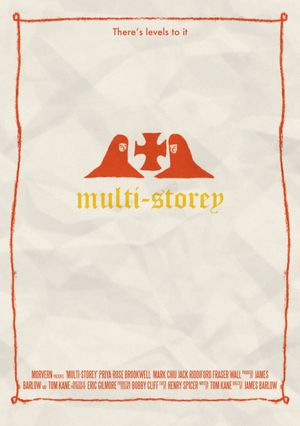 Multi-Storey's poster image