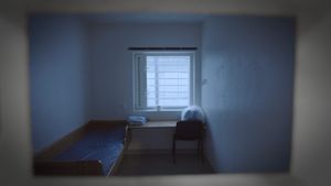 Detained and Abandoned's poster