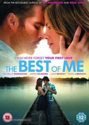 The Best of Me's poster