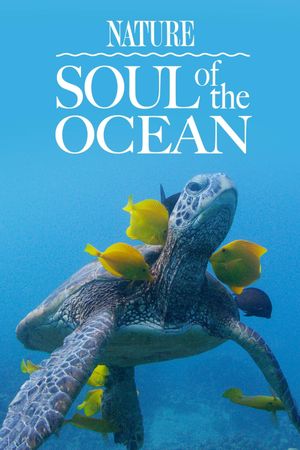 Soul of the Ocean's poster