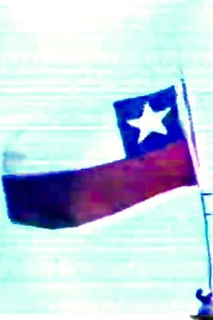 Tricolor (o Un espacio ganado)'s poster