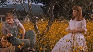 East of Eden's poster