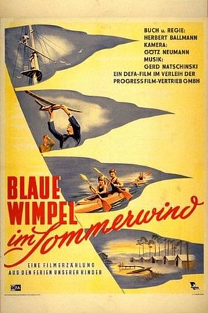 Blue Bandanas in the Summer Wind's poster