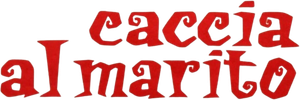 Caccia al marito's poster