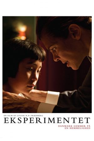 The Experiment's poster