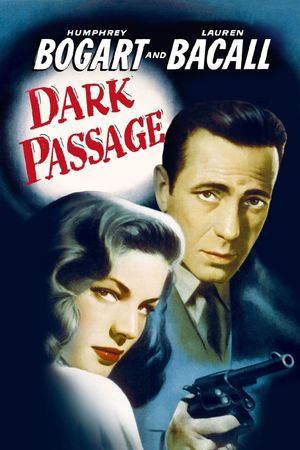Dark Passage's poster