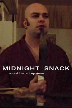 Midnight Snack's poster