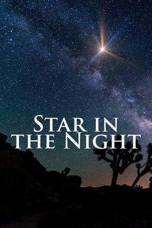 Star in the Night's poster