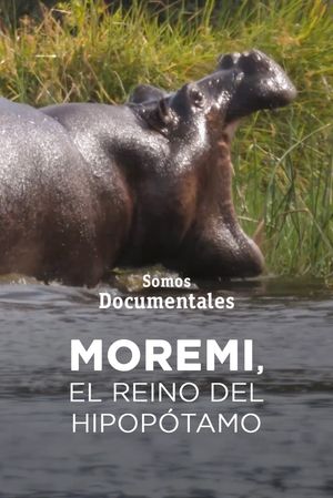 Moremi, el reino del hipopótamo's poster