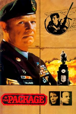 The Package's poster