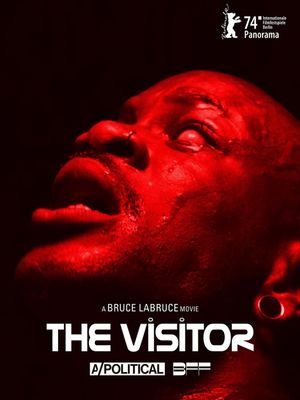The Visitor's poster