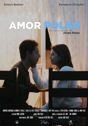 Amor Polar's poster