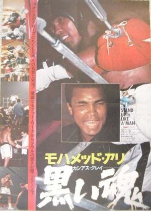 Black Soul's poster