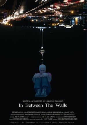 In Between The Walls's poster