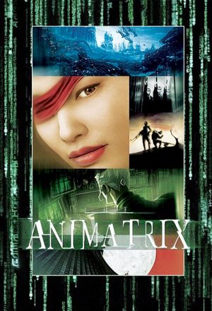 The Animatrix's poster