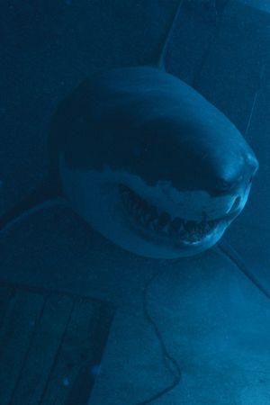 Deep Fear's poster