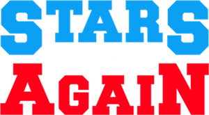 Stars Fell Again's poster