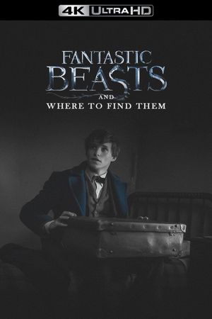 Fantastic Beasts and Where to Find Them's poster