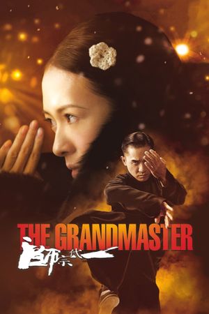 The Grandmaster's poster