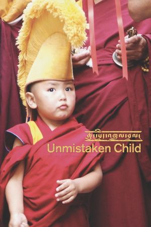 Unmistaken Child's poster