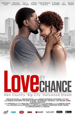Love by Chance's poster