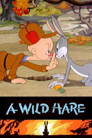 A Wild Hare's poster