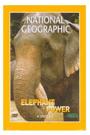 Elephant Power's poster
