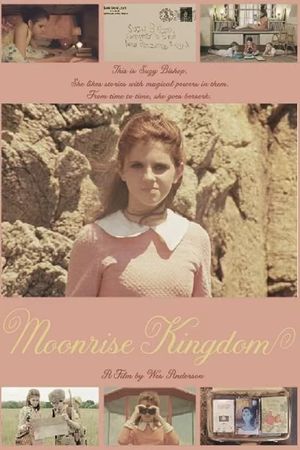 Moonrise Kingdom's poster