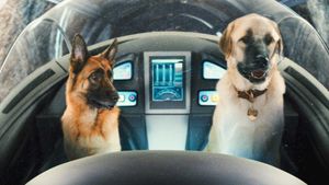 Cats & Dogs: The Revenge of Kitty Galore's poster