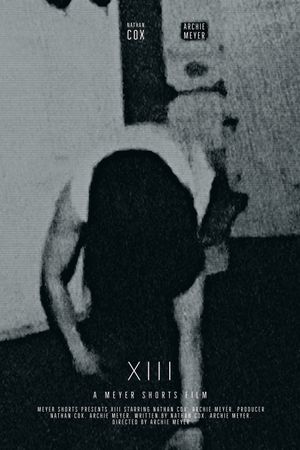 XIII's poster