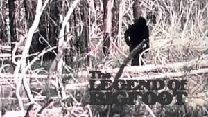 The Legend of Bigfoot's poster