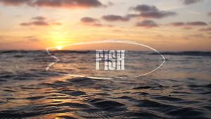 Fish: The Surfboard Documentary's poster