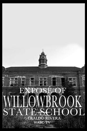 Willowbrook: The Last Great Disgrace's poster
