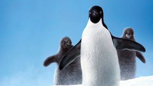Penguins's poster