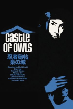 Castle of Owls's poster