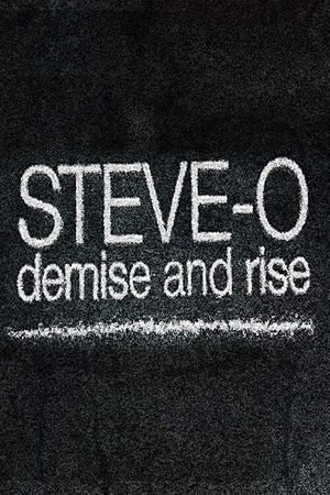 Steve-O: Demise and Rise's poster